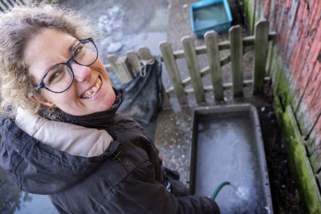 Fiumicino, nel maneggiano dove lavorano 3 ragazzi con disabilità ....