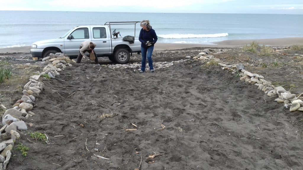 Torre Flavia, prosegue la costruzione dei muretti e la bonifica della spiaggia