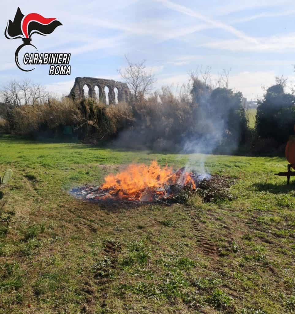 Sorpreso mentre dà fuoco ad accumuli di rifiuti speciali: arrestato 