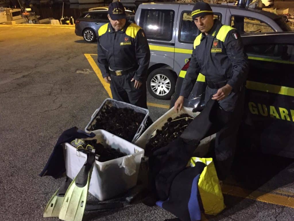 Pesca di frodo a Santa Marinella, sequestrati 5000 ricci di mare