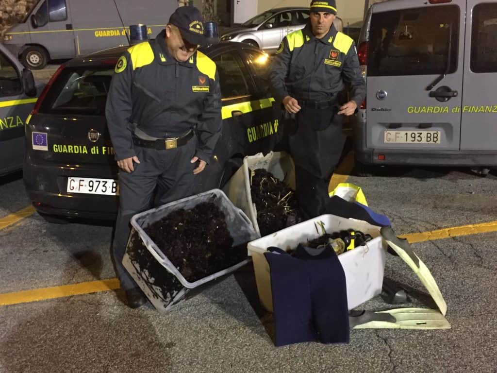 Pesca di frodo a Santa Marinella, sequestrati 5000 ricci di mare
