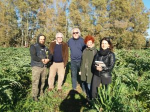 I Carciofi di Ladispoli protagonisti su Rai Uno con Linea Verde