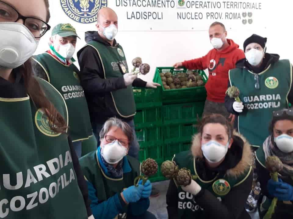 Ladispoli, gli imprenditori locali donano i carciofi alla città