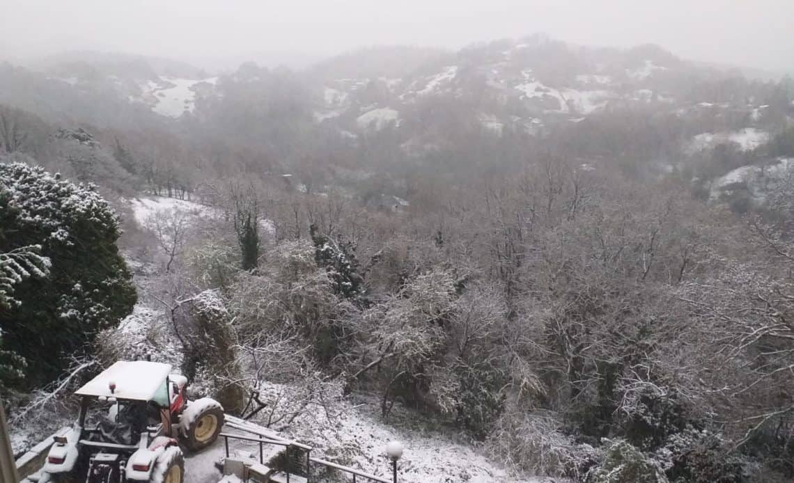 FOTONOTIZIA: la neve sui Monti della Tolfa