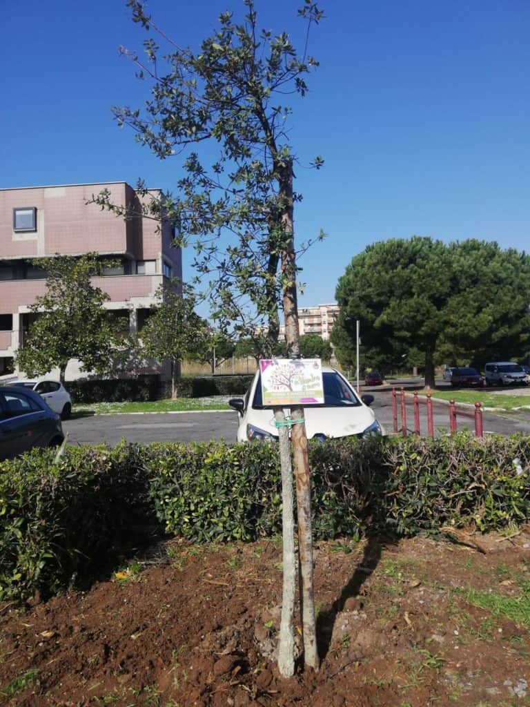 "M'illumino di meno, Ladispoli partecipa alla 16esima edizione"