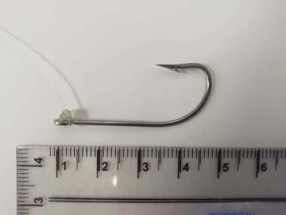 Ami sulla spiaggia a Ladispoli e Cerveteri, la rabbia dei cittadini