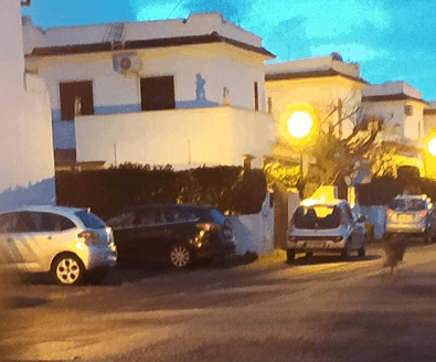 Dopo Ladispoli, un lupo avvistato a Ceronova