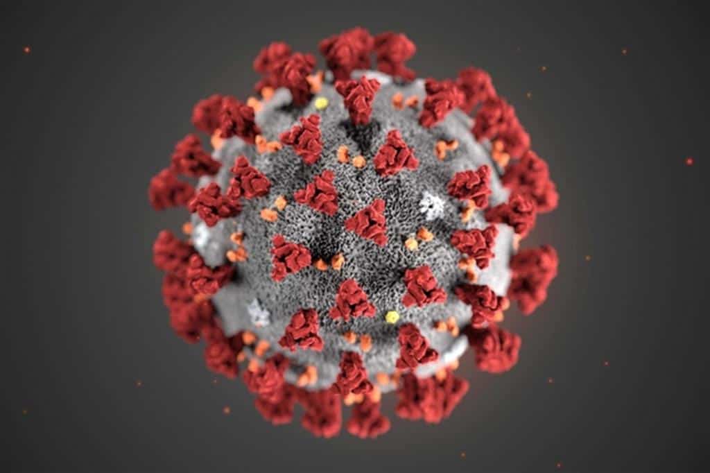 Coronavirus, un decesso a Ladispoli e uno a Cerveteri 10