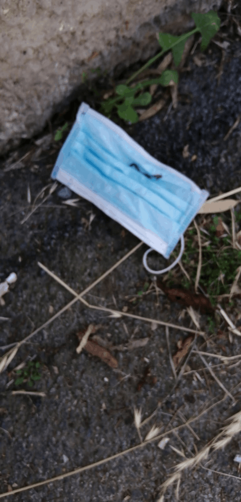 Civitavecchia, guanti e mascherine abbandonate in strada