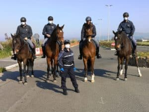 Cerveteri, pattugliamento a cavallo