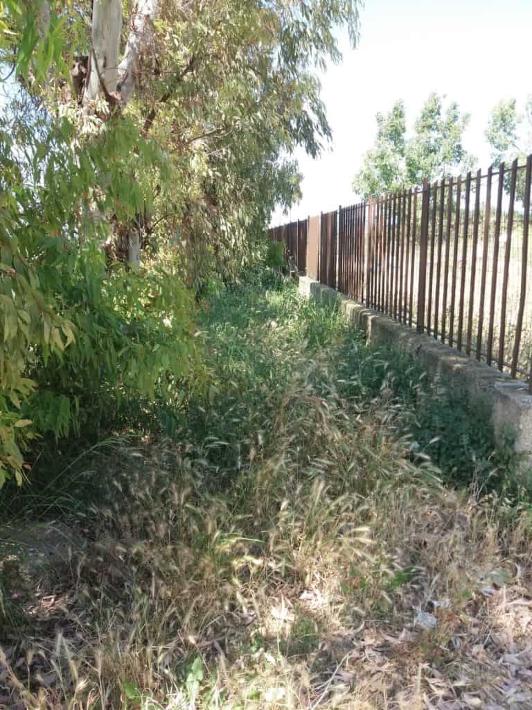 Luigino Bucchi: "Sistemate quel giardino tana ideale per  topi e serpenti" 