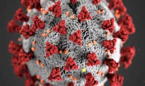 Coronavirus, zero nuovi contagi nella Asl RM4