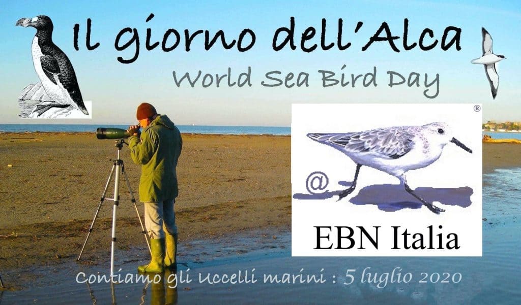 A Civitavecchia "il Giorno dell'Alca"