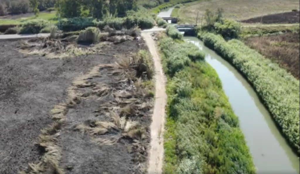 Fiumicino: incendio a Le Vignole, il comune procede in danno contro il proprietario del terreno