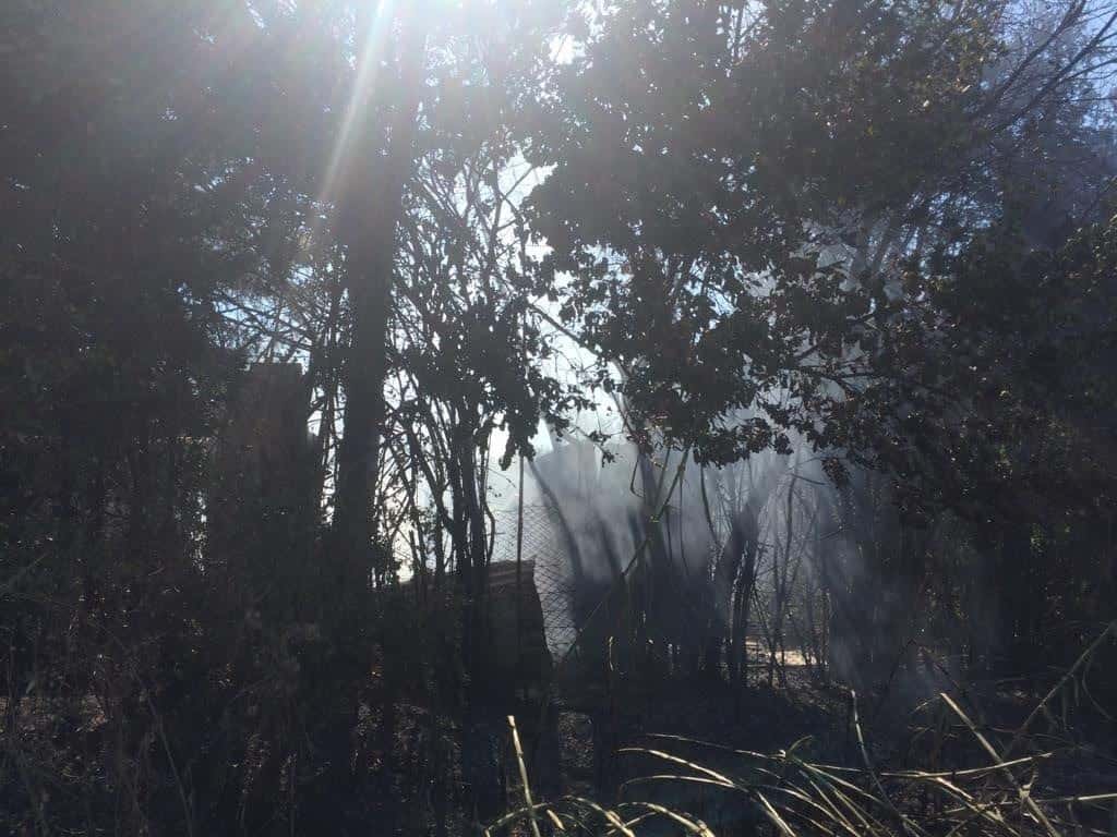 Fiumicino: incendio a Tragliatella vicino ad alcune abitazioni