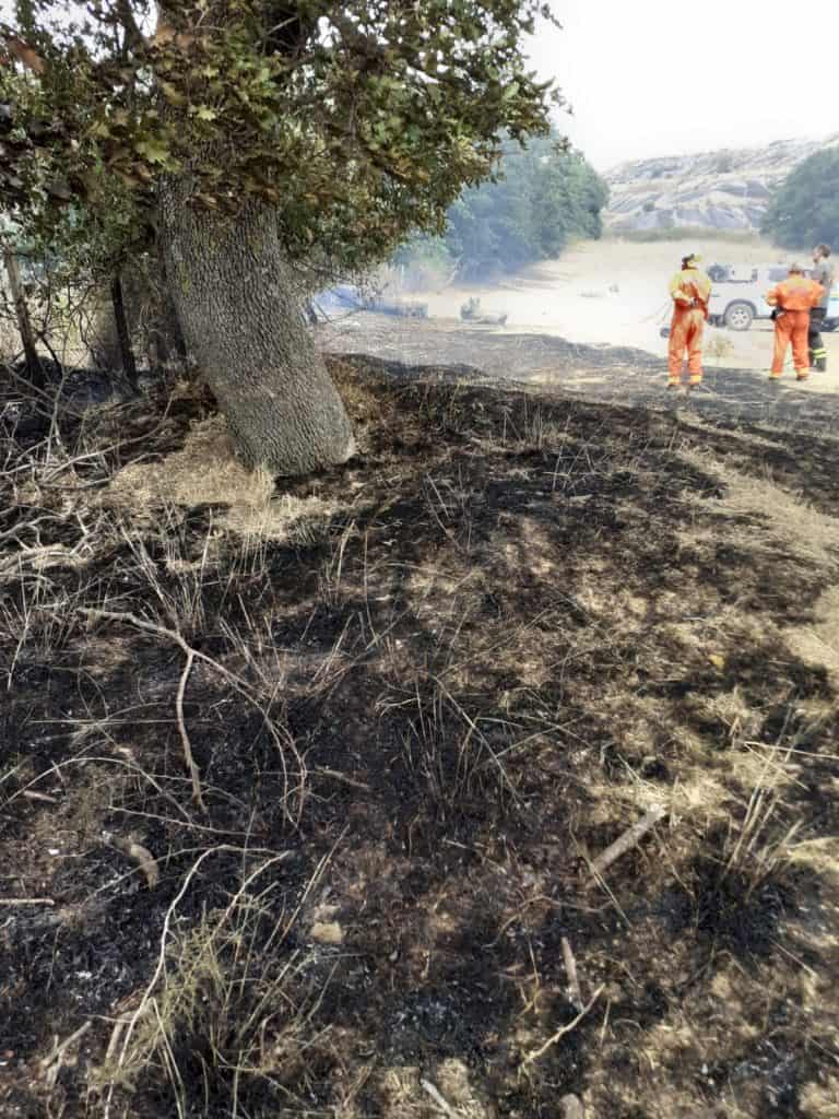 A fuoco sterpaglie nei pressi di Cupinoro