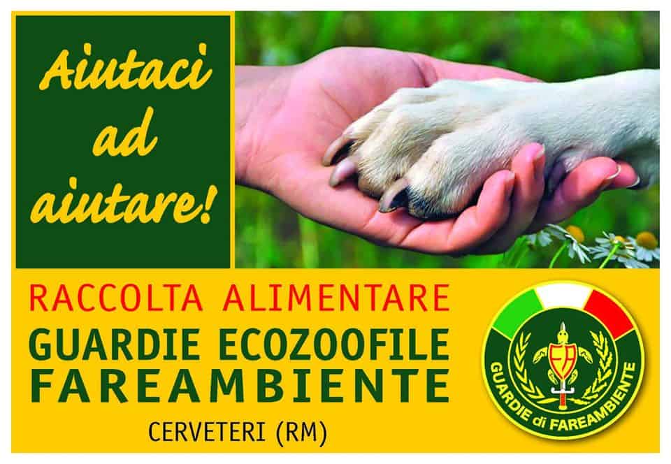 Cerveteri, Ecozoofile di Fareambiente: sabato raccolta di cibo per animali