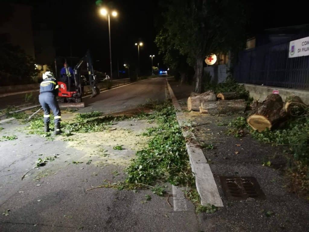 Maltempo Fiumicino, alberi caduti e pali pericolanti: notte di lavoro per la Protezione civile