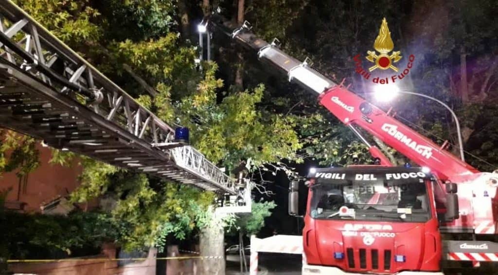 Maltempo Lazio, albero ad alto fusto si abbatte sul quartiere Trastevere
