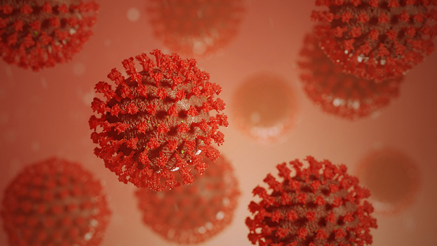 Coronavirus Cerveteri Ladispoli