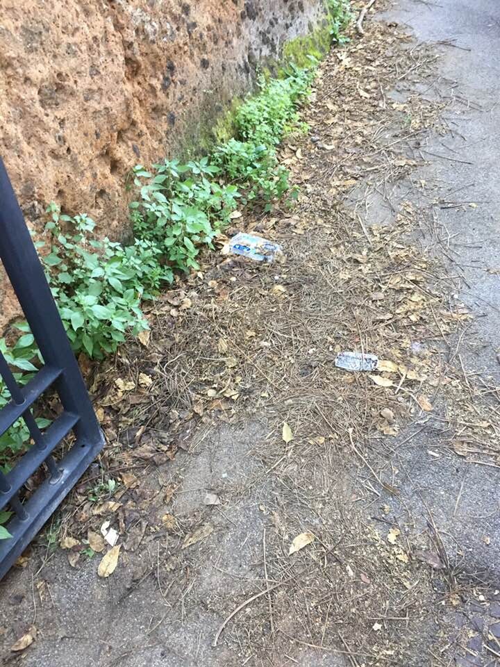 "Cerveteri, sporcizia all'ingresso di alcuni uffici comunali"
