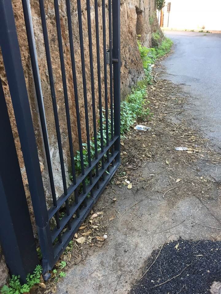 "Cerveteri, sporcizia all'ingresso di alcuni uffici comunali"