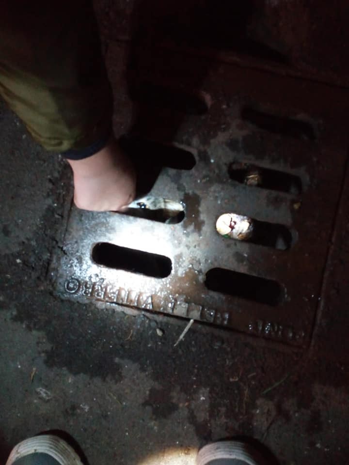 Ladispoli, gattino incastrato in un tombino: salvato dalle Guardie di FareAmbiente