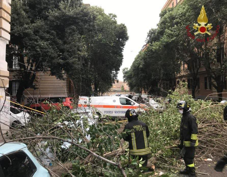 Cade albero: ferito un passante