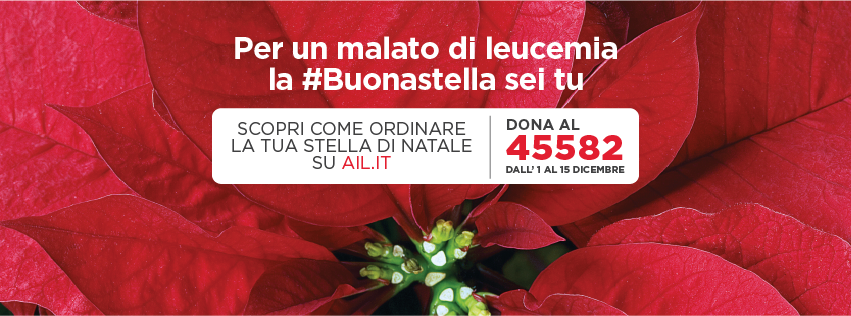 Cerveteri, in piazza Aldo Moro arrivano le Stelle di Natale di Ail