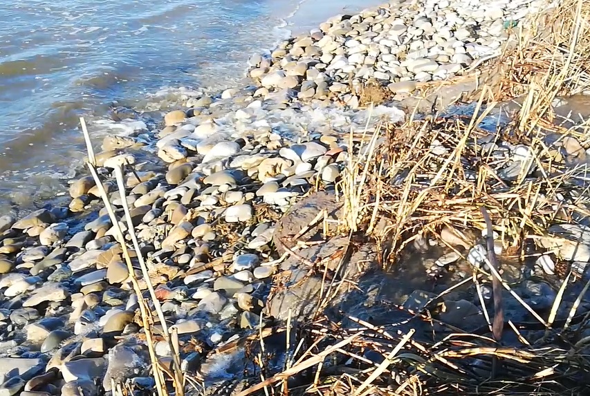 Ladispoli, la mareggiata continua a far danni alle dune di Torre Flavia