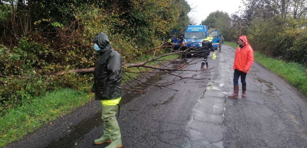 Cerveteri: strade allagate e alberi caduti, interventi su tutto il territorio