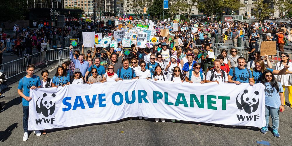 Il WWF lancia l'allarme: "Con il clima che cambia gravi rischi per salute e sicurezza umana"