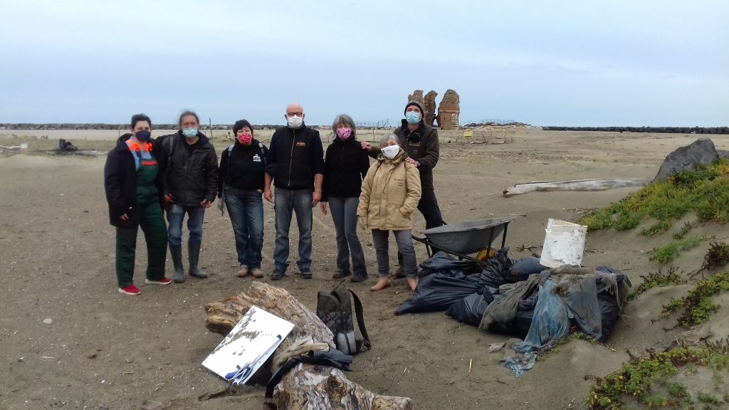 Ladispoli, Torre Flavia: tutti in maschera per pulire le dune del fratino