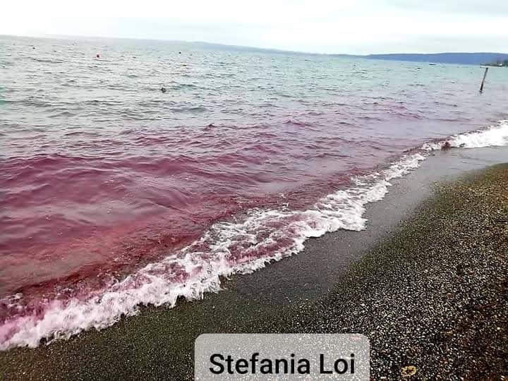 Lago di Bracciano, l'acqua diventa rossa: è mistero