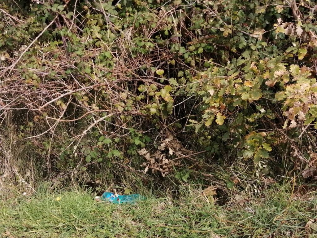 "Discariche abusive a Cerveteri, stanchi di vivere in queste condizioni"