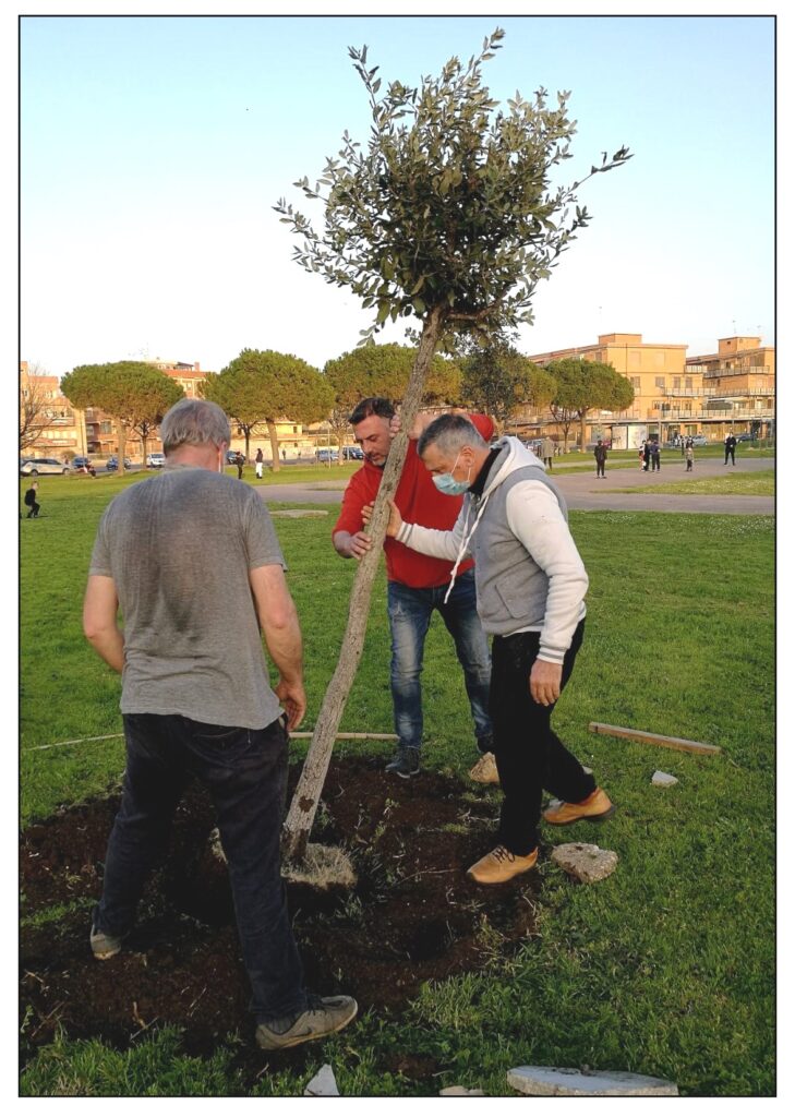 Ladispoli, messi a dimora alberi acquistati da cittadini ed associazioni