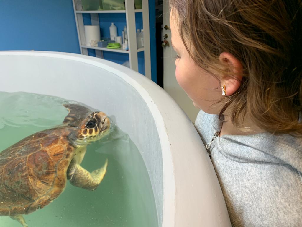 Cerveteri: Martina salva Winter, la caretta caretta spiaggiata a Pescia Romana
