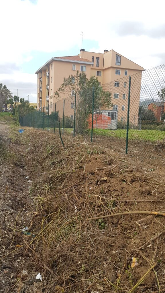 Partiti i lavori per riqualificare il giardino a Bracciano nuova