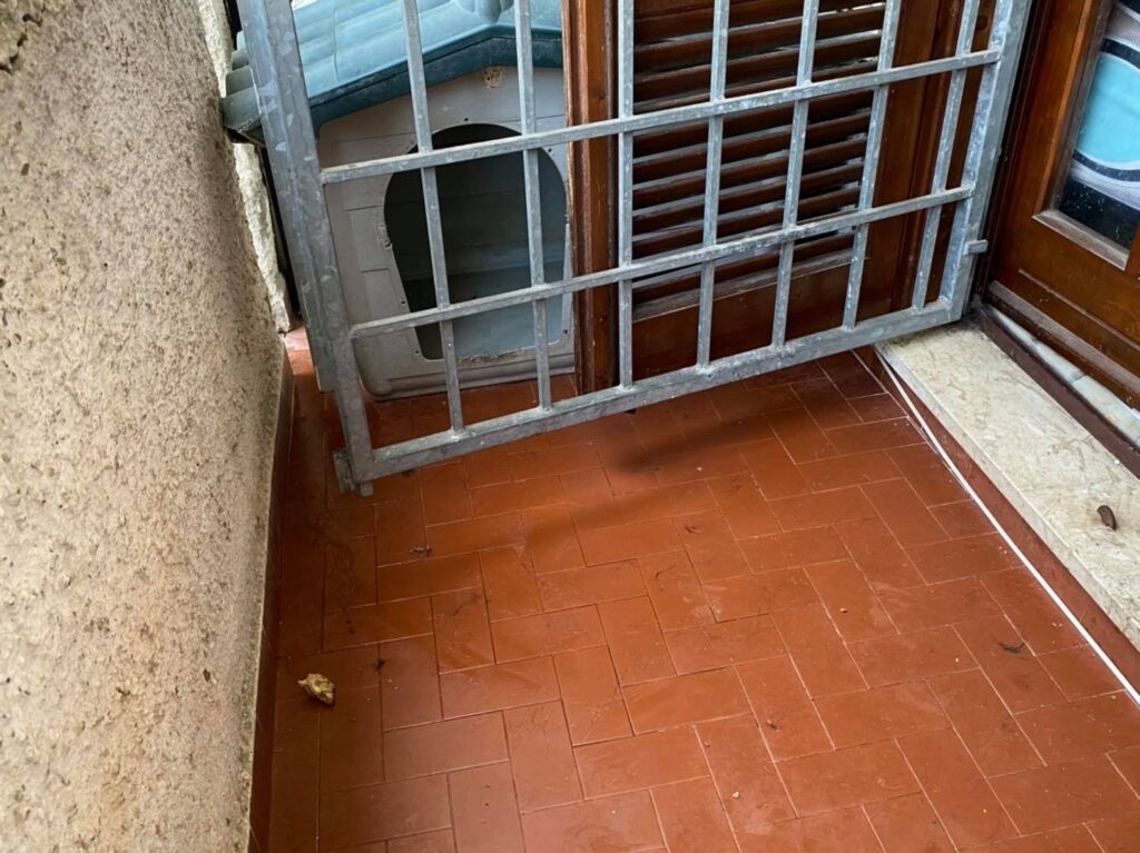 Cerveteri: teneva il cane su un piccolo balcone con il pavimento cosparso di urina stantia: sanzionato il proprietario