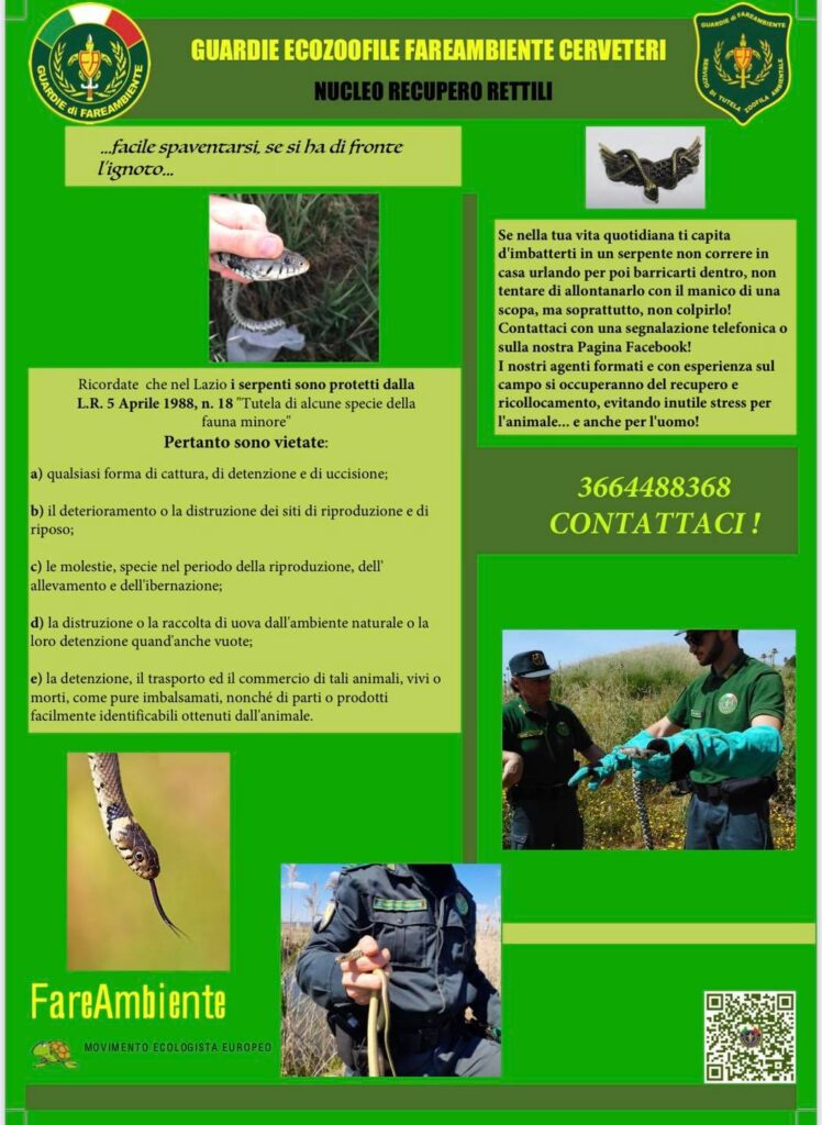  Cerveteri, servizio di recupero rettili delle Guardie Ecozoofile di Fare Ambiente