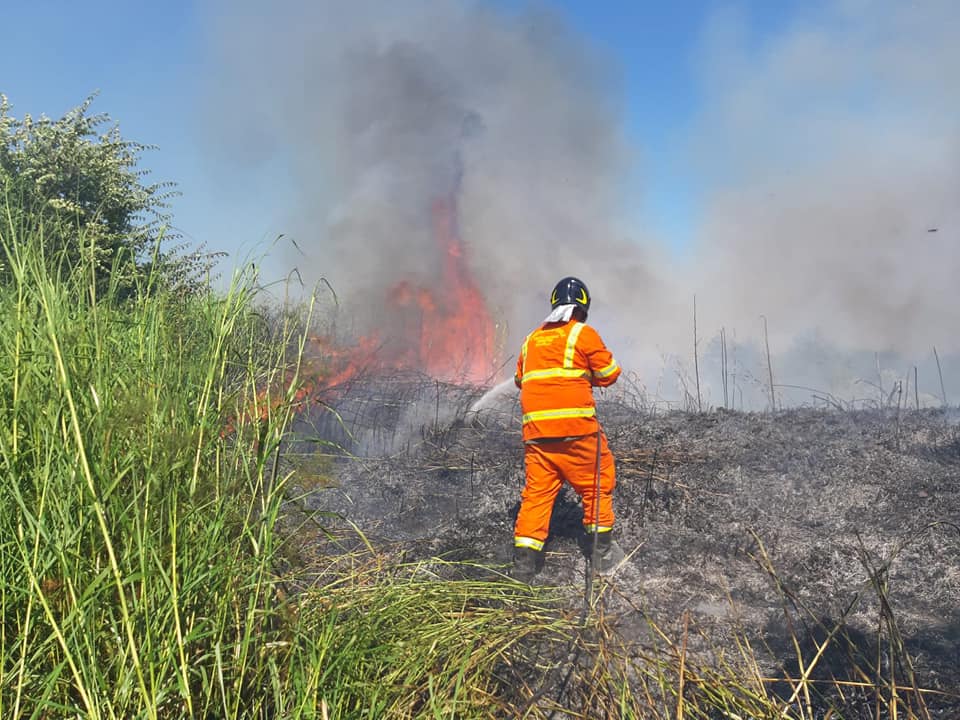 Cerveteri, un’estate piena di impegni per il gruppo comunale di Protezione civile