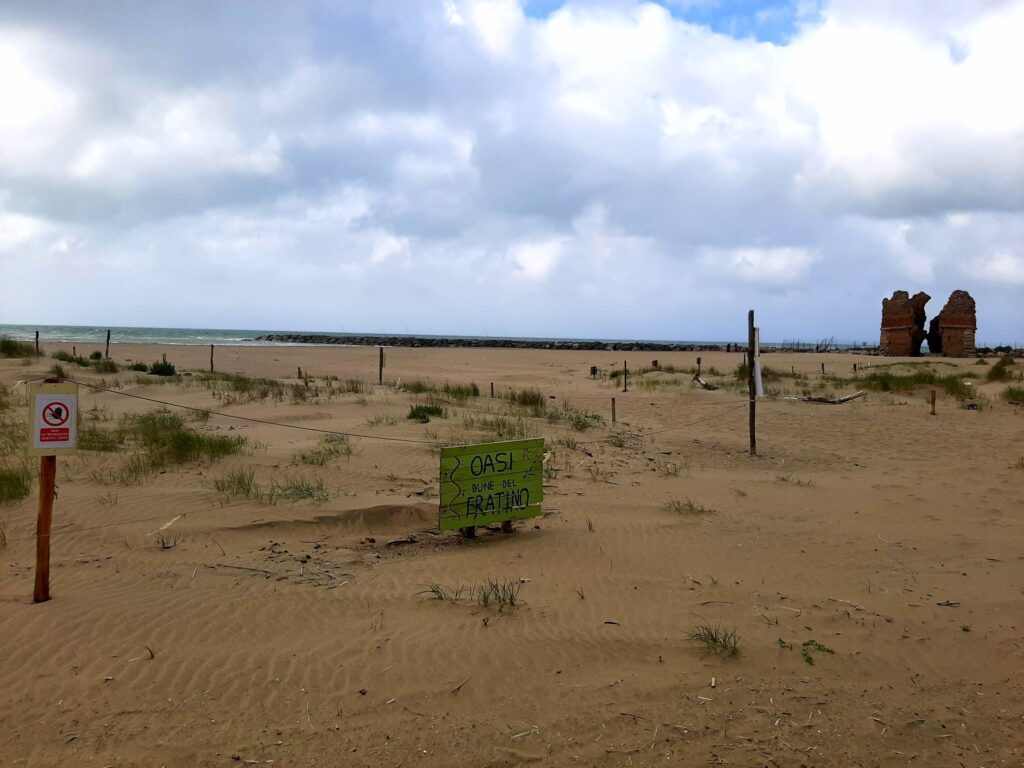 torre flavia campo fratino