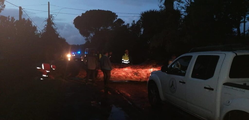 Cerveteri, un’estate piena di impegni per il gruppo comunale di Protezione civile