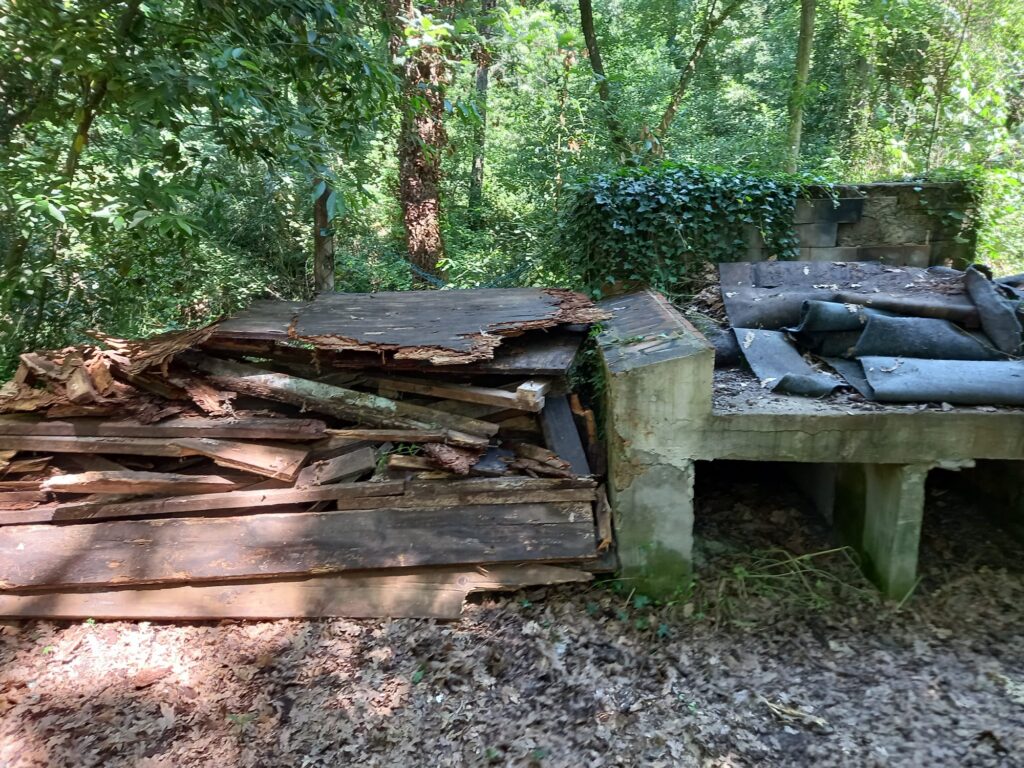 Cerveteri: Magnani chiede lumi sul bosco di Valcanneto