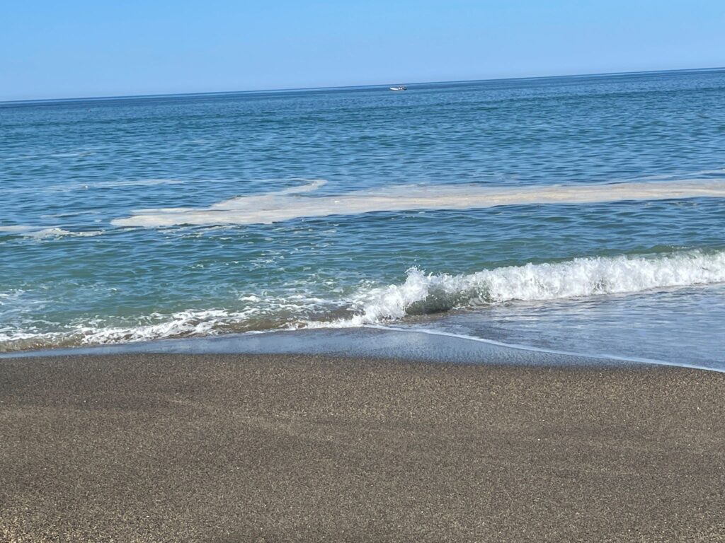 Ladispoli, chiazza in mare sul tratto centrale della costa