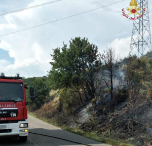 Civitavecchia, terreno boschivo in fiamme: l'intervento dei Vigili del Fuoco