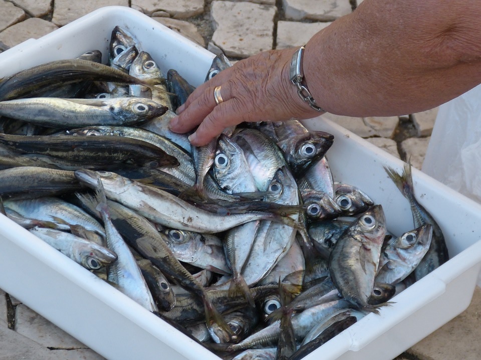 Fiumicino: parte la task force contro la vendita abusiva del pesce sulla banchina