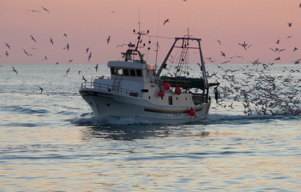 Fiumicino: commissione congiunta pesca e attività produttive per affrontare le criticità