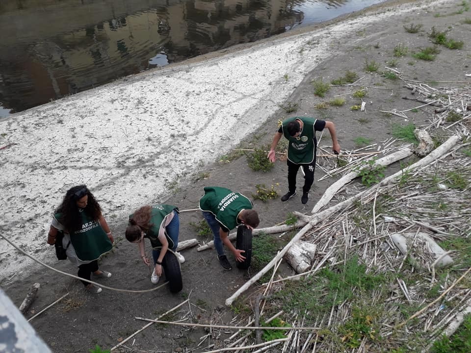 Ladispoli: pneumatici a ridosso del fosso Vaccina
