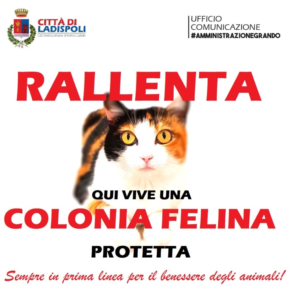 ladispoli cartelli colonie feline